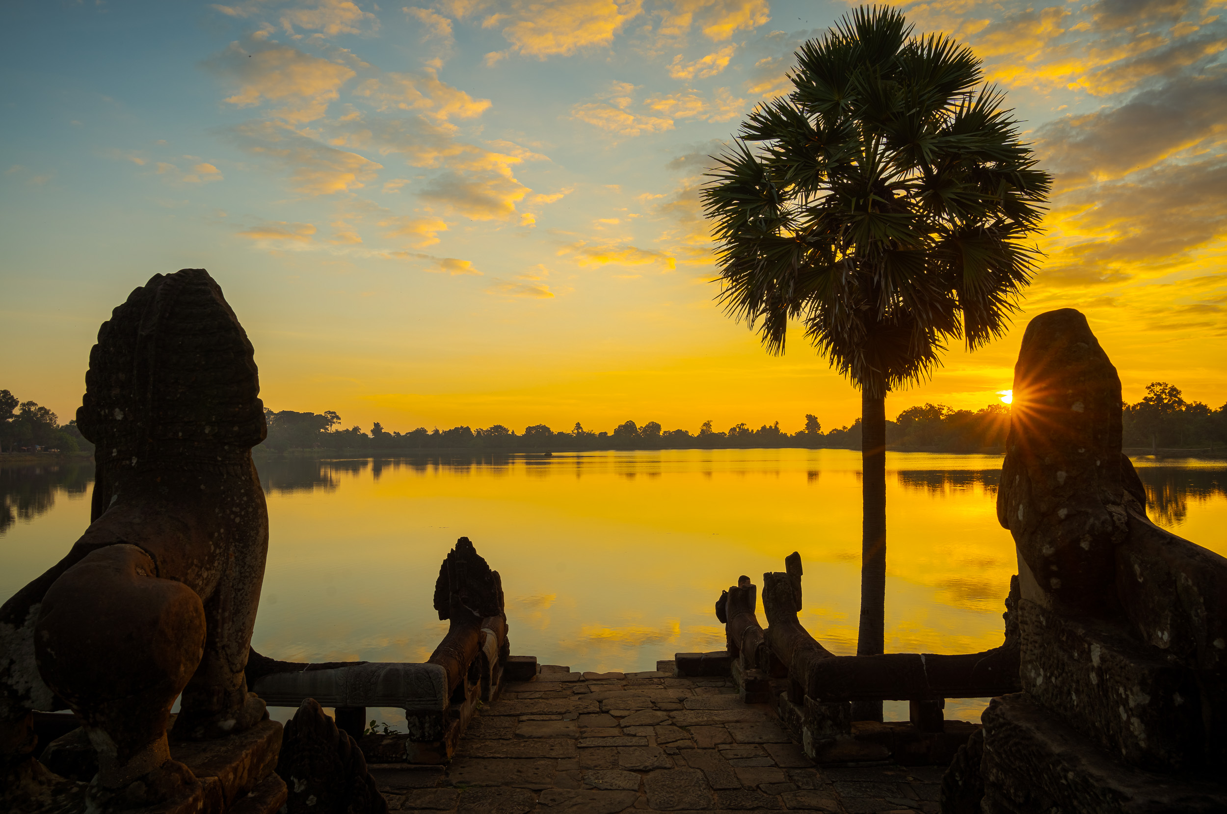 Early morning at Srah Srang with palm tree silhouette and soft sunrise light
