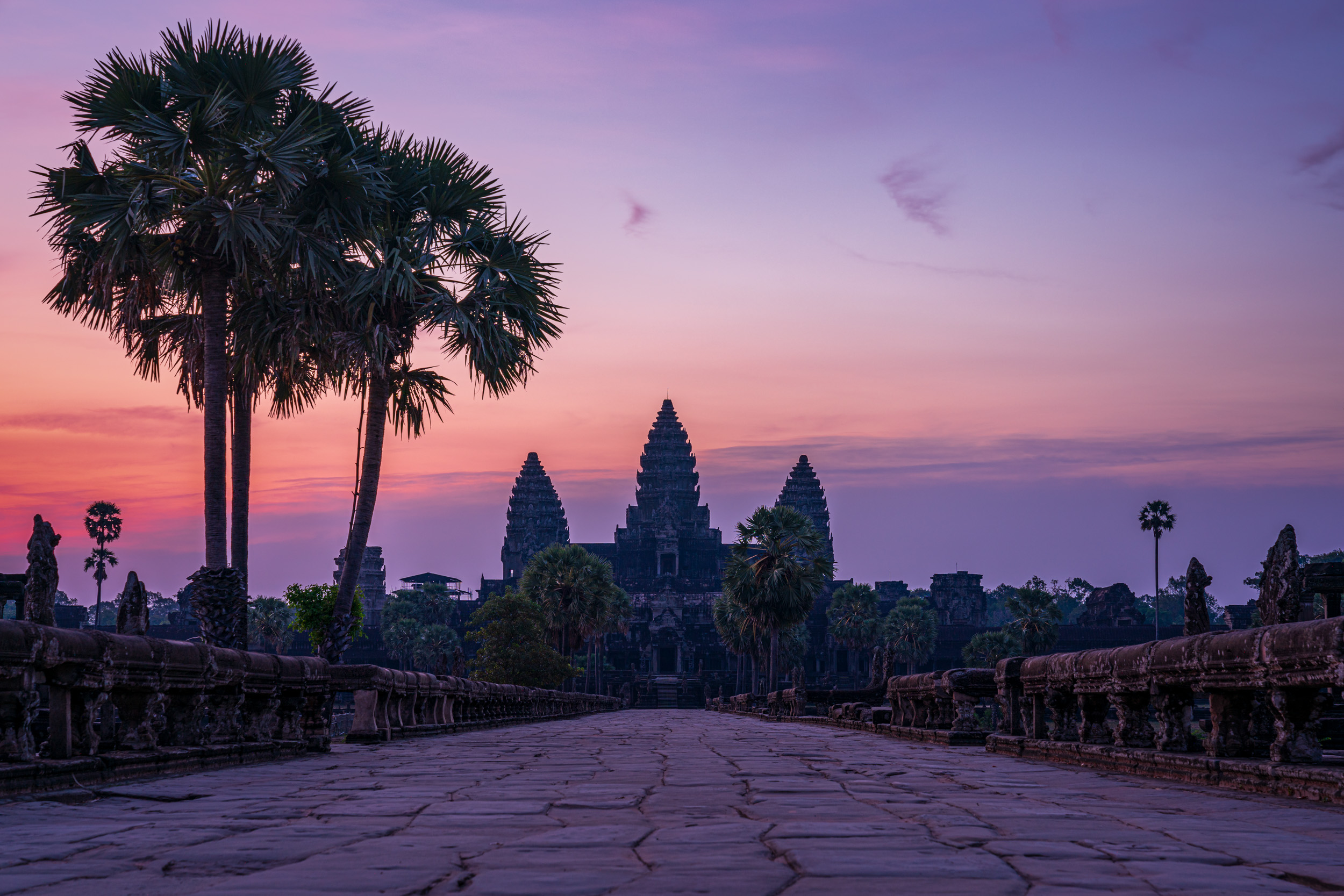 25-6 Export Personal cat--2