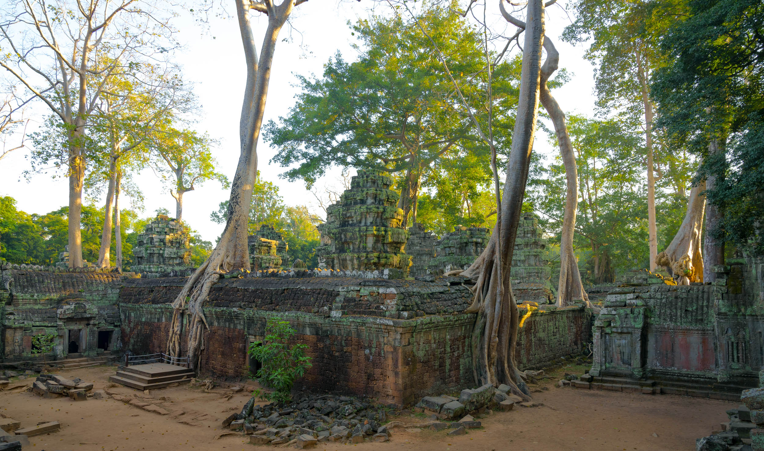 25-6 Export Personal cat--6