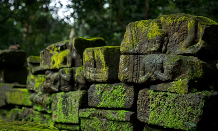Stone carvings in Angkor photographed by Siem Reap Photographer