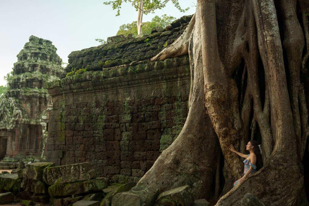 Solo traveller photography at Ta Prohm Temple in Angkor Archaeological Park Cambodia