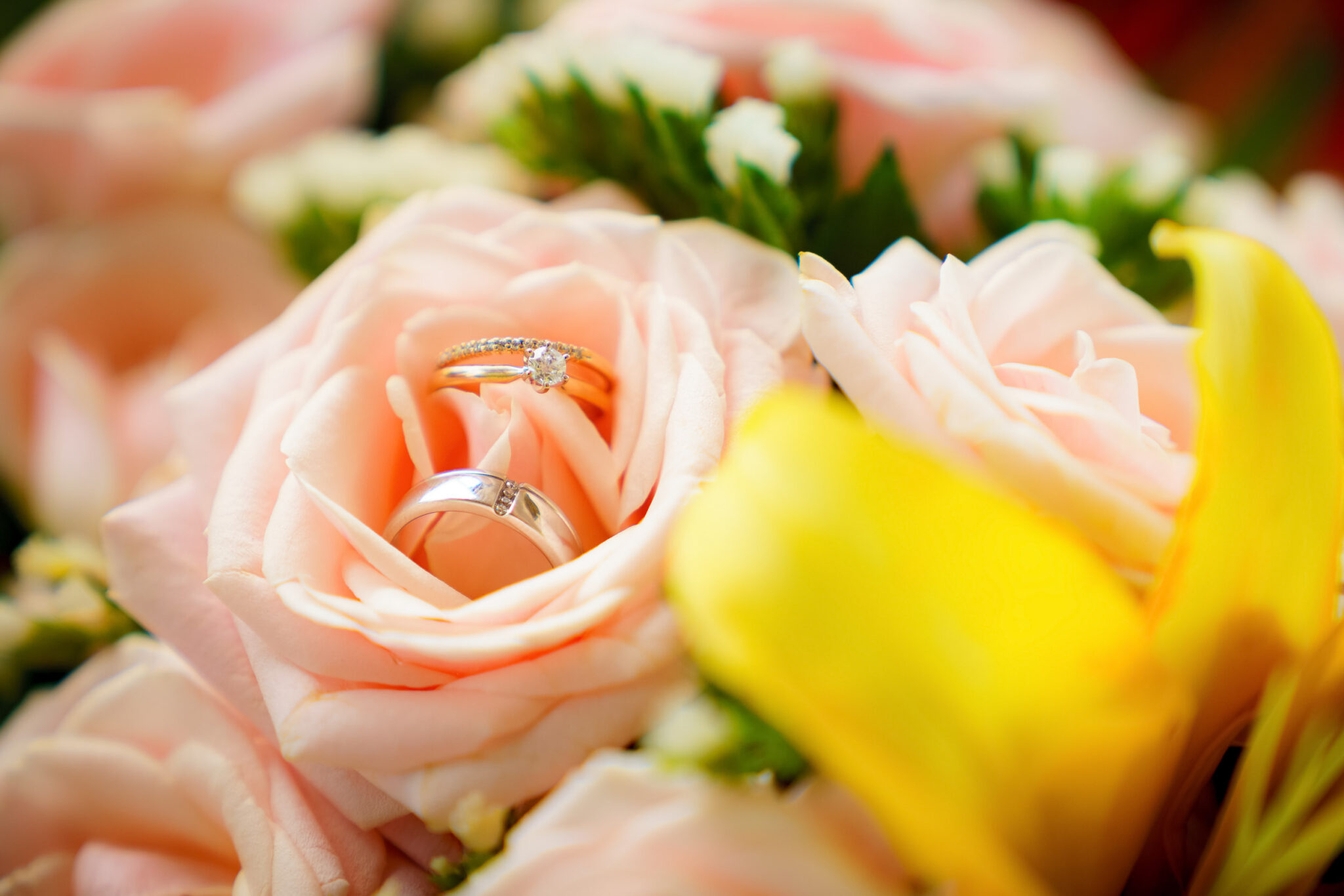 Siem Reap wedding photographer by siem reap photographer