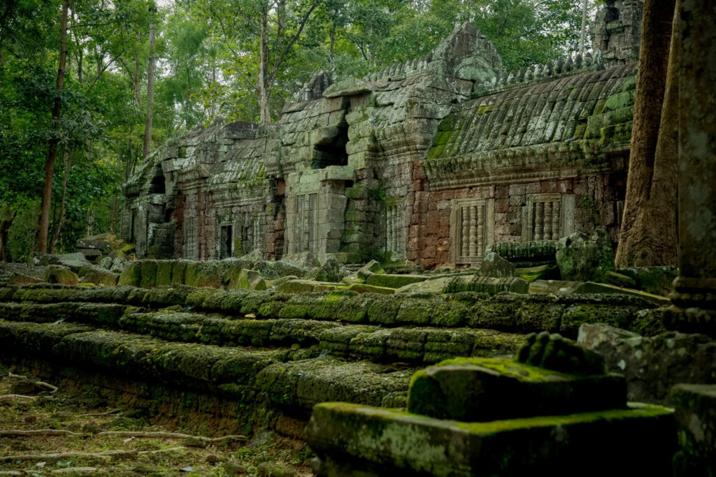 Ta Nei Temple, Siem Reap, Cambodia